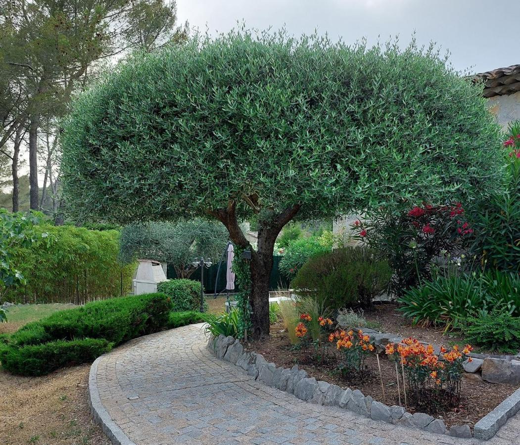 Gite Les Pins Climatise Piscine Chauffee Jardin Peymeinade Екстериор снимка