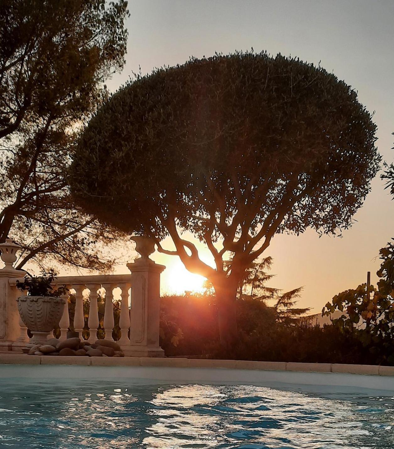 Gite Les Pins Climatise Piscine Chauffee Jardin Peymeinade Екстериор снимка
